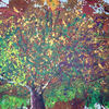 2_oktober_thumb