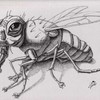 The_fly__23_x_30sm_ink__paper_thumb