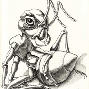 The_ant__23_x_30_sm_ink__paper_card