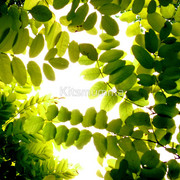 673266-3-let-there-be-light_watermark_card
