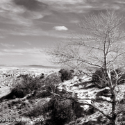 Painteddesert-scan-100621-0013-post_card