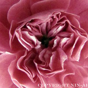 Img_4028_card