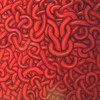 100_4563_thumb