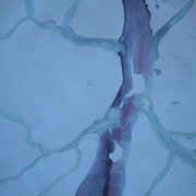 6-5_t002_card