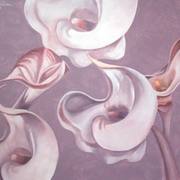 Modern_lilli_calla_card