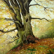 Tree_card
