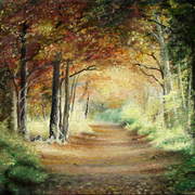 Tunnel_in_wood_card