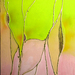 Flowers_square