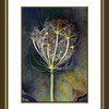 Watercolor_no_6_thumb