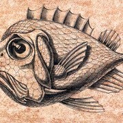 The_fish__20_x_30sm_ink__paper_card