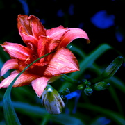 Dsc_1712_card