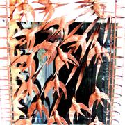 111_0175_card