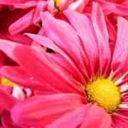 3n03pe3oc5o15z45t4a6s949e17b0895610d7_card