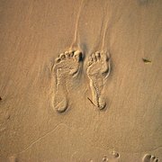 Feet_card