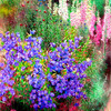 Windbell_flower_140x90cm_thumb