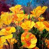 Yellow_poppy_60x70cm_thumb