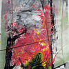Anfratti_garden_n_5_thumb