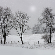 December_still_card
