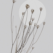 Winter_sun_card