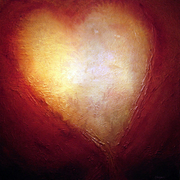 Heart_felt_card