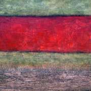 Ocitillo_card