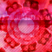 Bundaberg_red_card