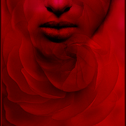 Love_is_your_color_card