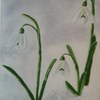 Snowdrops_1_thumb