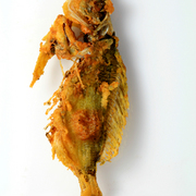 Img_4803_copy_card
