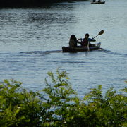 Kayakingoncharlesriver1_card
