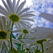P1000261_card