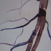 2010_7-1_t005_card