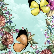 Bbfmnprr_card