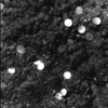 Empire_s_waste__earth___metal_93_thumb