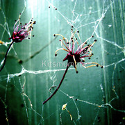 227860-12-catch-me-im-falling_watermark_card