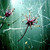 227860-12-catch-me-im-falling_watermark_tiny_square