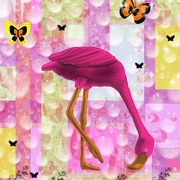 Flemingo_card