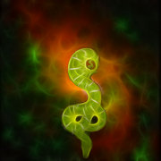 Snake-the-universe_card