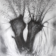 Baston_fen_drawing_charcoal_5b_pencil_and_graphite_powder_july_2010_card