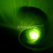 306486-7-tunnel-of-light_watermark_card