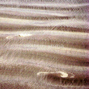 767693-2-tread-lightly_watermark_card