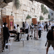 Dsc00095_card
