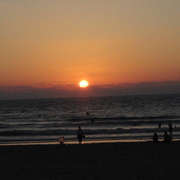 Dsc00663_card