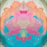 343008419717_0_0_card