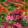 Vibrance10_thumb
