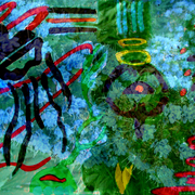 D13_card