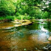 River-derwent-for-artbreak_card