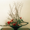 Ikebana-027_thumb