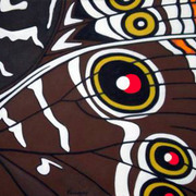 Ojos_falsos_card