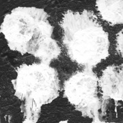 Untitled_1_card